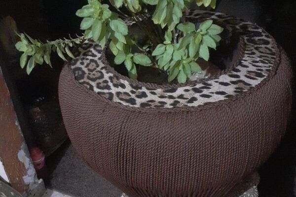 إبرة وصنارة... مشروع نسائي يتحدى الظروف ويعيد تدوير النفايات في قطاع غزة - سبوتنيك عربي