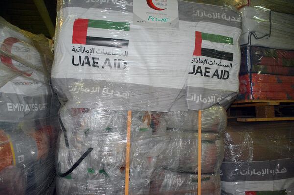 سفينة إماراتية تحمل 2300 طن من المساعدات لمتضرري الزلزال في 4 محافظات سورية - سبوتنيك عربي