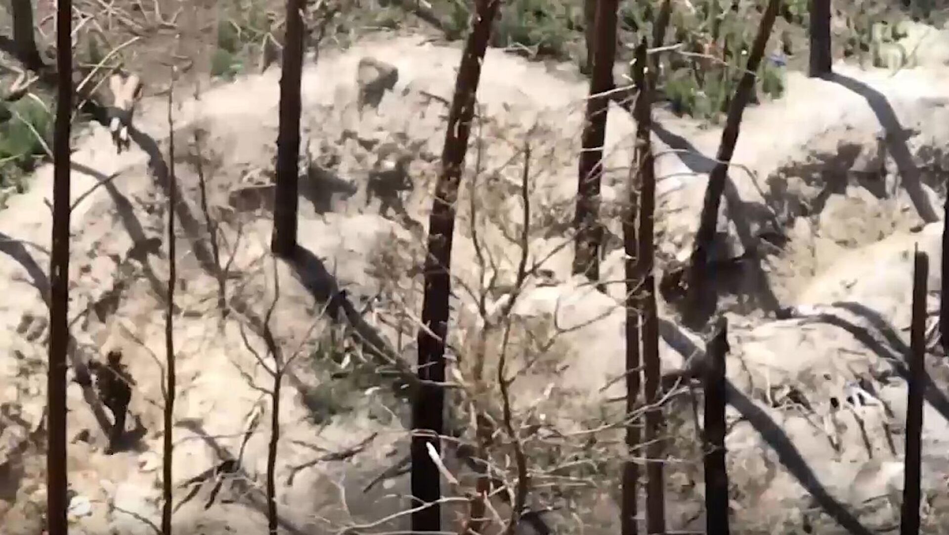 مشاهد لاستسلام جنود أوكرانيين بعد تسلل قوات روسية لخنادقهم المتخفية في الغابات وتطويقها - سبوتنيك عربي, 1920, 12.10.2023