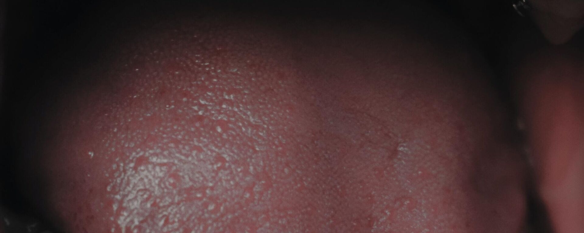 فم - سبوتنيك عربي, 1920, 12.07.2023