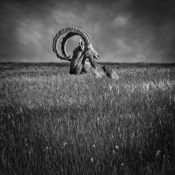 عنوان الفردي المفاهيمي: صاحب الصورة: سيث ماير (الولايات المتحدة) سيث ماير هو مصور فوتوغرافي للفنون الجميلة مقره في كولورادو. يشمل عمله صورًا شخصية، بالإضافة إلى الفنون الجميلة والمناظر البحرية الهادئة، والمناظر الطبيعية، والصور المفاهيمية. - سبوتنيك عربي