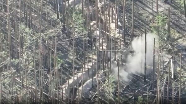 قوات روسية تقتحم غابة أوكرانية وتسيطر على مقرات وخنادق أوكرانية  - سبوتنيك عربي