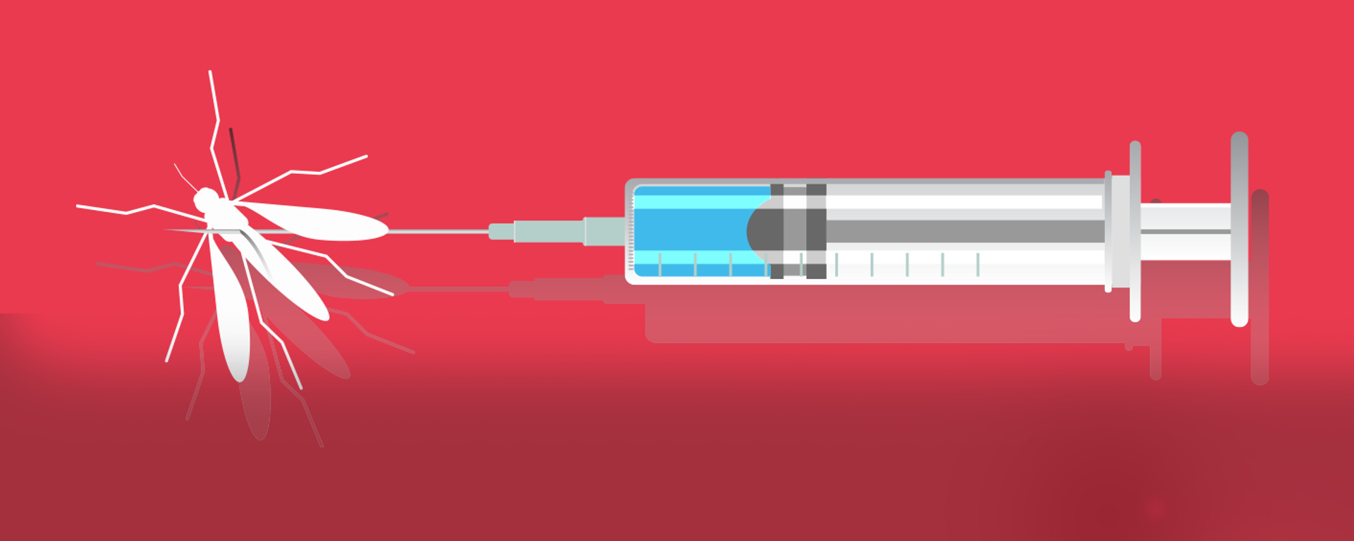 من بينها ظهور كدمات... ما هي أعراض حمى الضنك؟
 - سبوتنيك عربي, 1920, 11.08.2025