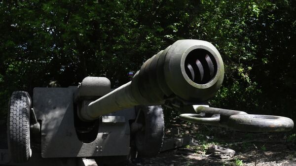 مدفع دي-30 التابع لقوات الجيش الروسي في إتجاه محور سفاتوف، جمهورية لوغانسك الشعبية. - سبوتنيك عربي