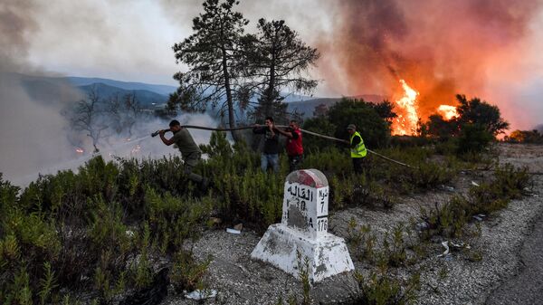 Пожарные тушат лесной пожар около города Меллула на северо-западе Туниса - سبوتنيك عربي