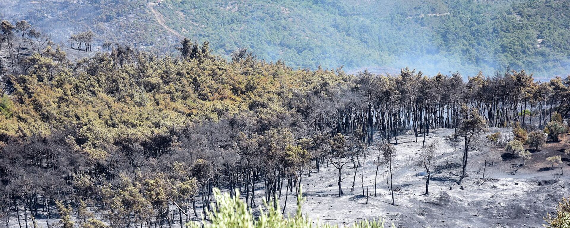 حرائق اللاذقية تتمدد.. وألغام الإرهابيين تعوق تقدم رجال الإطفاء - سبوتنيك عربي, 1920, 26.07.2023