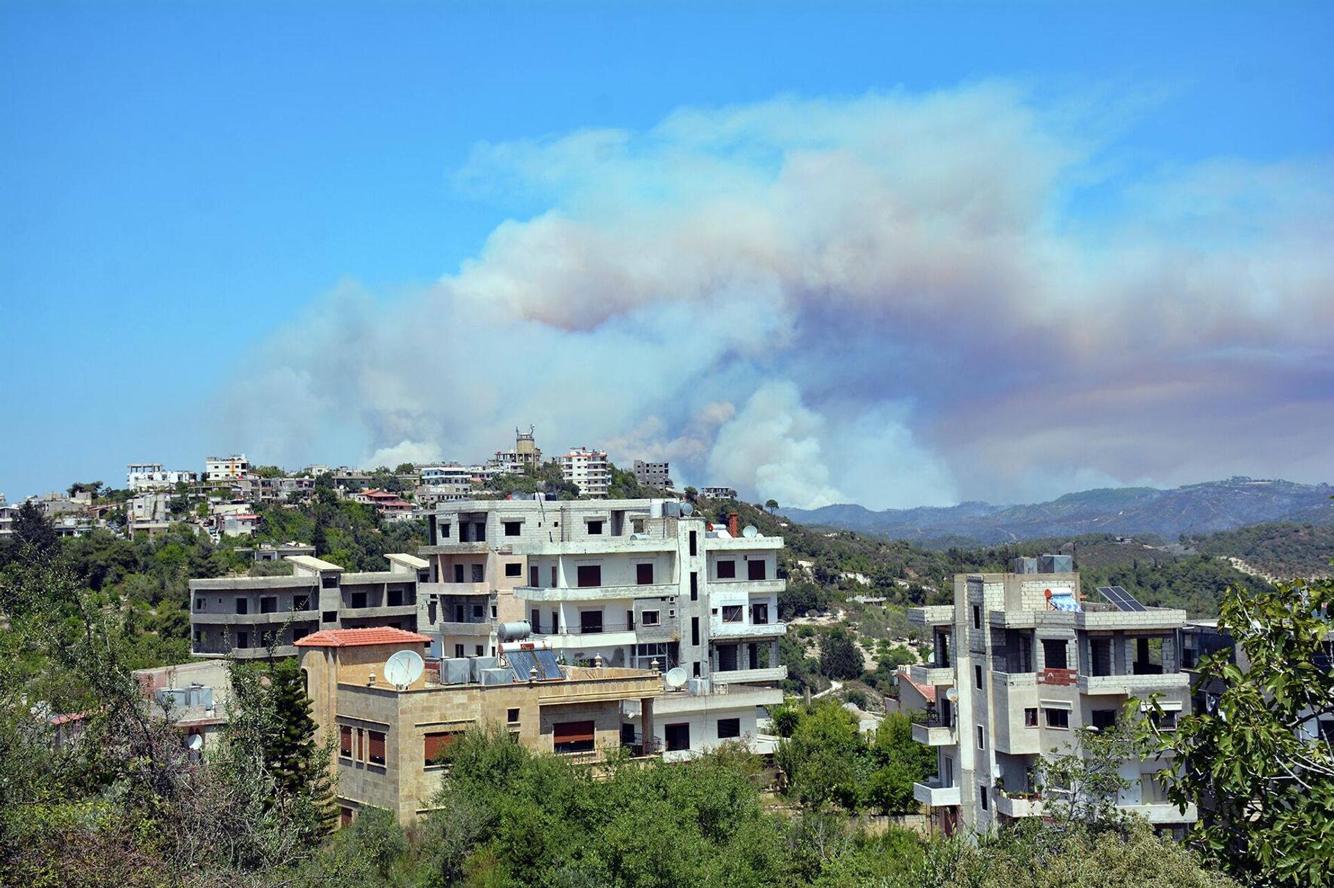 سبوتنيك ترصد فرار الحيوانات البرية من غابات اللاذقية مع استمرار الحرائق لليوم الخامس - سبوتنيك عربي, 1920, 29.07.2023