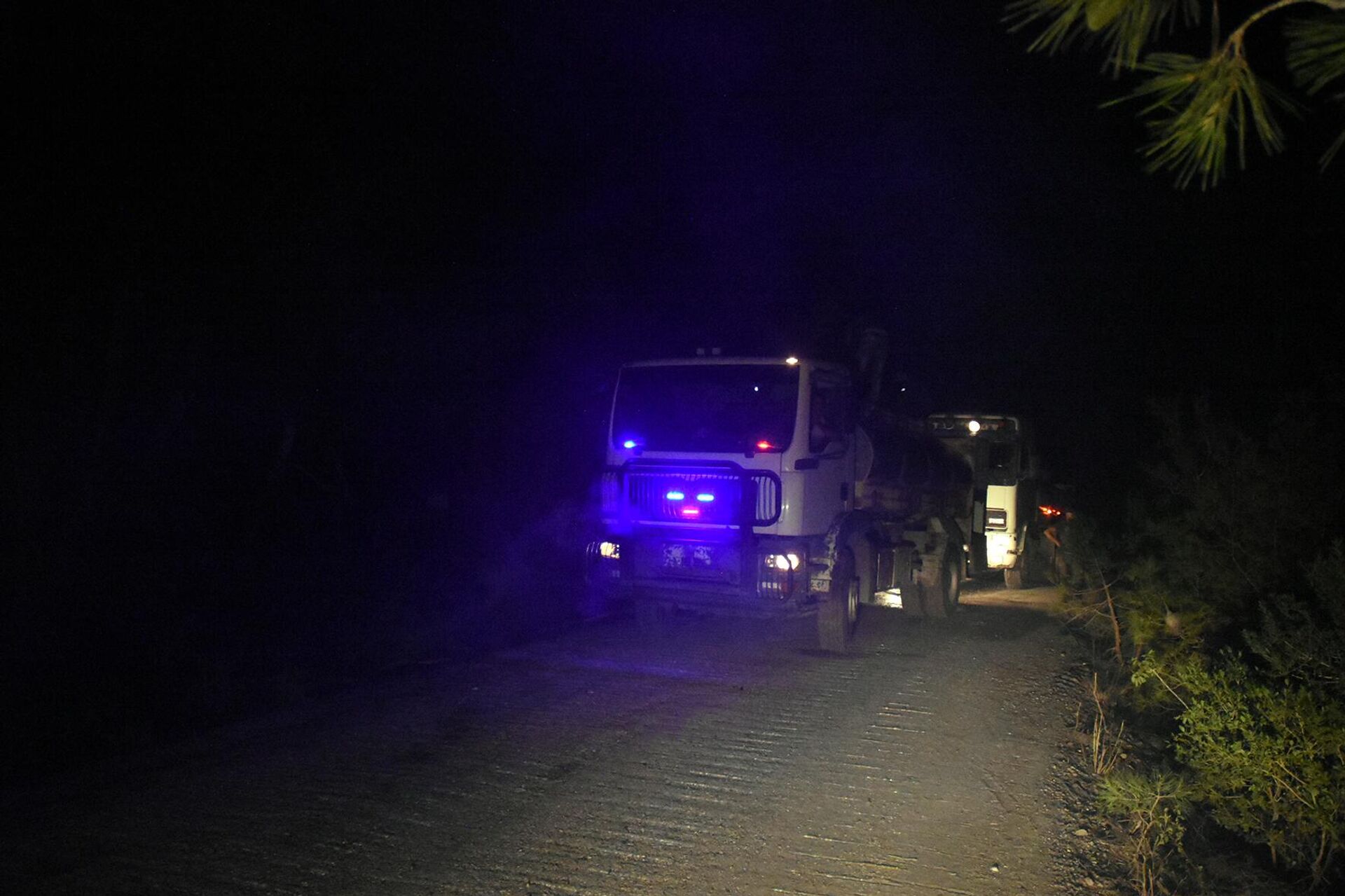 سبوتنيك ترصد فرار الحيوانات البرية من غابات اللاذقية مع استمرار الحرائق لليوم الخامس - سبوتنيك عربي, 1920, 29.07.2023