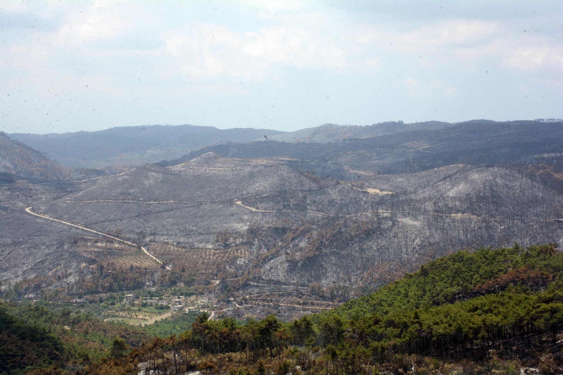 سبوتنيك ترصد مشاركة طائرات (أليوشن) في القضاء على حرائق الغابات السورية
 - سبوتنيك عربي, 1920, 31.07.2023