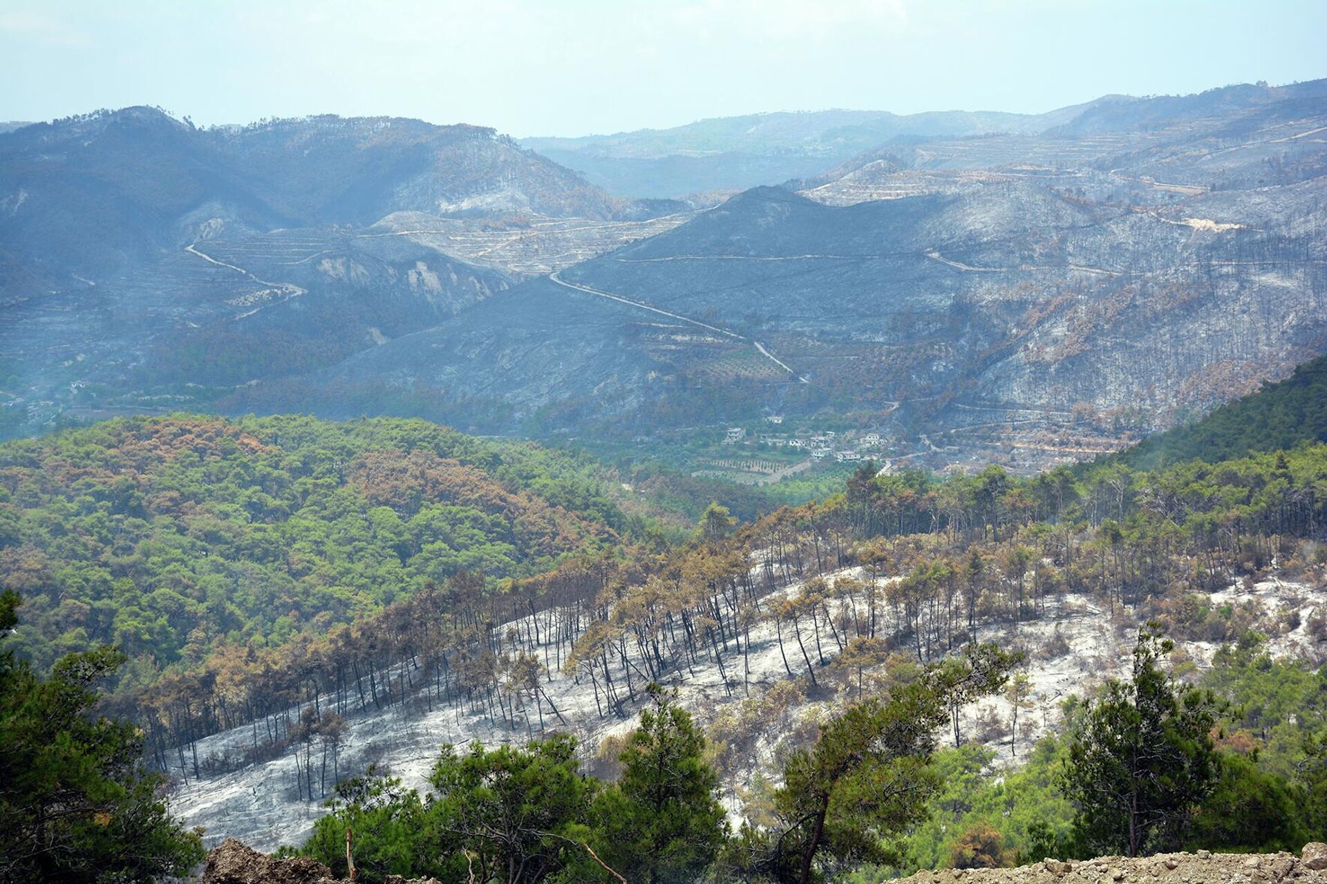 سبوتنيك ترصد مشاركة طائرات (أليوشن) في القضاء على حرائق الغابات السورية
 - سبوتنيك عربي, 1920, 31.07.2023