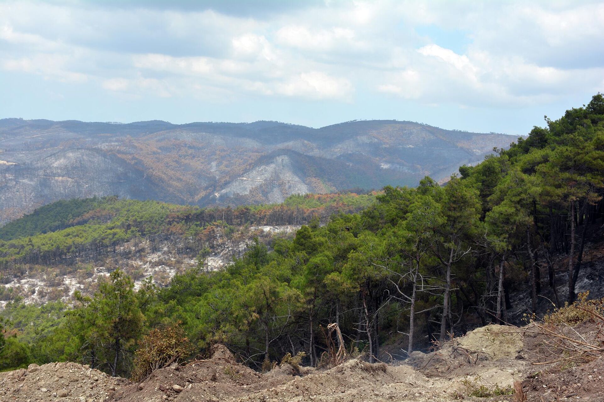 سبوتنيك ترصد مشاركة طائرات (أليوشن) في القضاء على حرائق الغابات السورية
 - سبوتنيك عربي, 1920, 31.07.2023