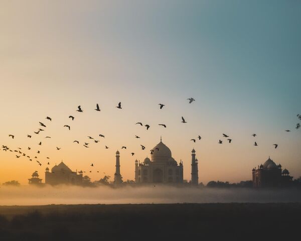 صورة توضح طيور النوارس فوق تاج محل في الهند، للمصور الهندي سانيل تشودهاري، الذي نال إشادة شرفية من لجنة التحكيم في فئة "السفر" في مسابقة جوائز آيفون للتصوير لعام 2023 - سبوتنيك عربي