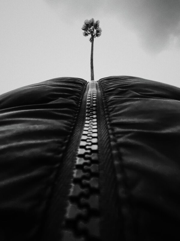 صورة من سلسلة "ملحقات الجسم"، للمصور الإسباني دومينيك داهسنكي (بواسطة iPhone XS)، الفائز بالمركز الأول في فئة "سلسلة" في مسابقة جوائز آيفون للتصوير لعام 2023 - سبوتنيك عربي