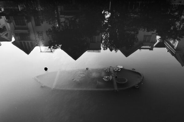 صورة للمصور الفيتنامي فو ثيوي لينه، نال تقديرًا كبيرًا في فئة "أخرى" في مسابقة جوائز آيفون للتصوير لعام 2023 - سبوتنيك عربي