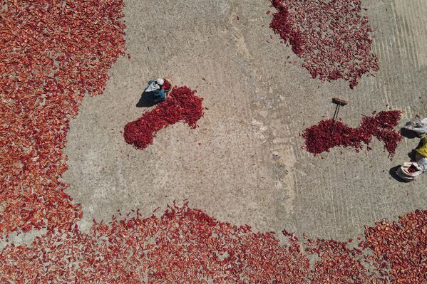 صورة جوية تظهر النساء ينشرن الفلفل الأحمر الحار على سطح منزل لتجفيفه قبل صنع رقائق ومعجون، في بلدة المسطومة بمحافظة إدلب، سوريا 5 أغسطس 2023. - سبوتنيك عربي