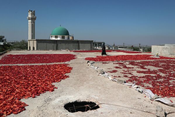 نساء ينشرن الفلفل الأحمر الحار على سطح منزل لتجفيفه قبل صنع رقائق ومعجون، في بلدة المسطومة بمحافظة إدلب، سوريا 5 أغسطس 2023. - سبوتنيك عربي