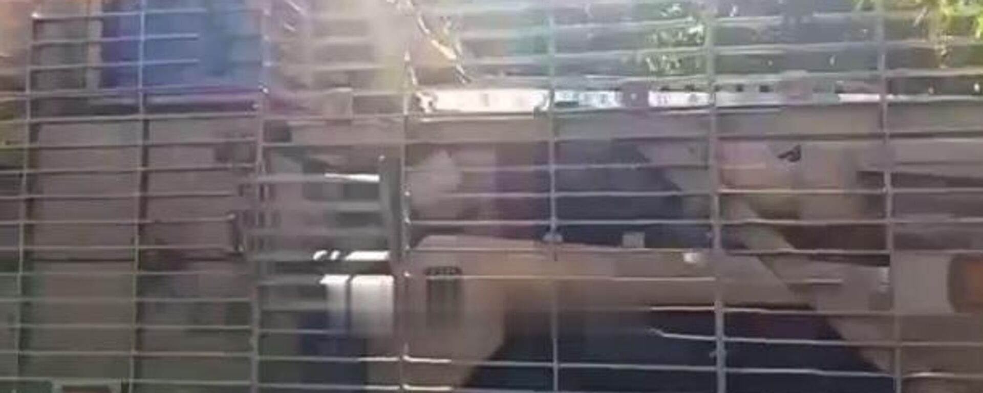 مدرعة بريطانية ماستيف  - سبوتنيك عربي, 1920, 08.08.2023