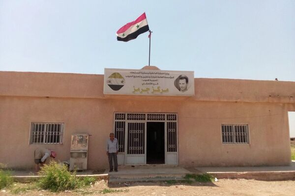 شركات روسية تتقدم لمناقصة استبدال قمح سوري قاسي بقمح خبزي - سبوتنيك عربي