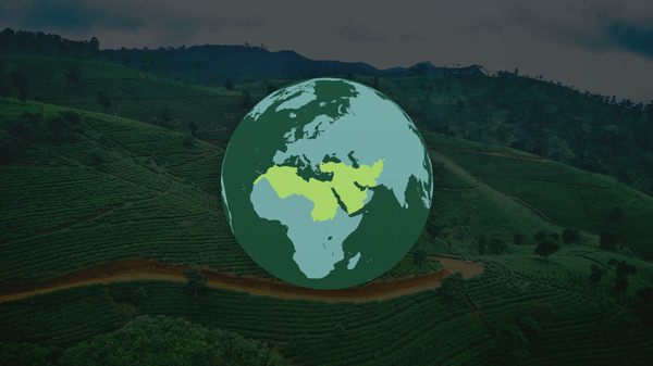 استيراد الشاي والقهوة من قبل دول الشرق الأوسط - سبوتنيك عربي