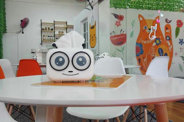 أول مقهى قطط في قطاع غزة - سبوتنيك عربي