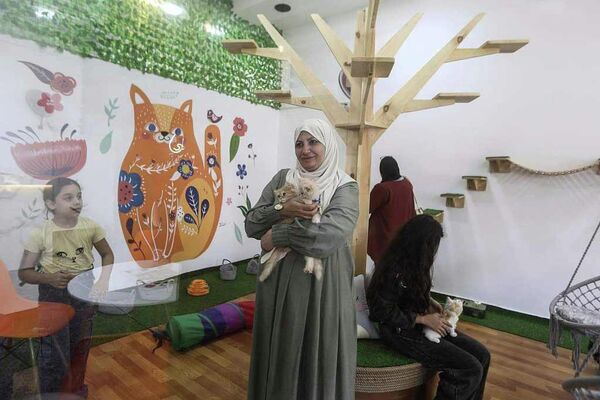 أول مقهى قطط في قطاع غزة - سبوتنيك عربي