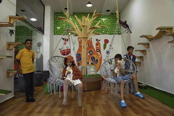 أول مقهى قطط في قطاع غزة - سبوتنيك عربي