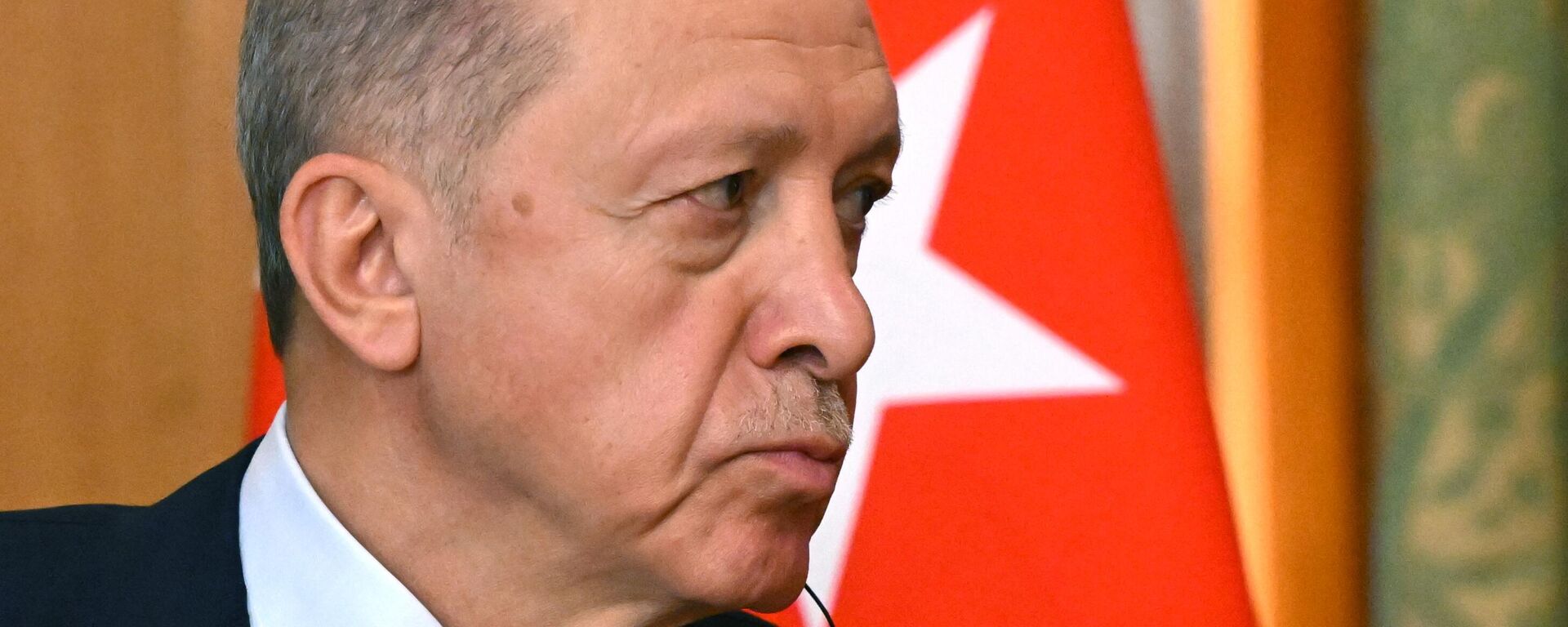 الرئيس التركي، رجب طيب أردوغان
 - سبوتنيك عربي, 1920, 05.11.2023