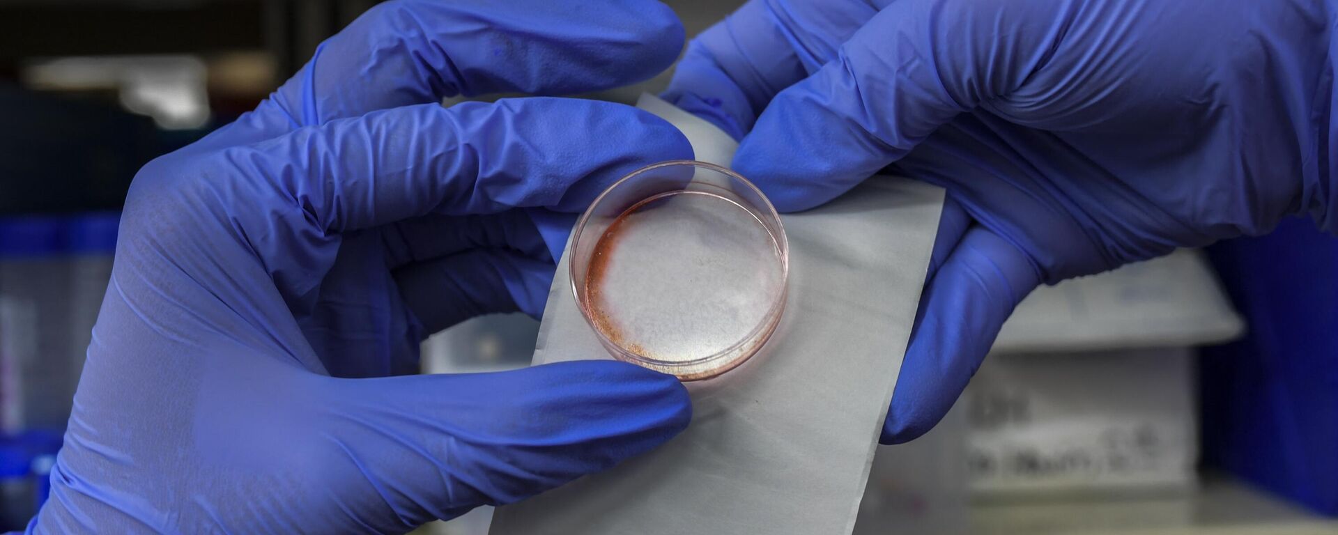 الخلايا الجذعية - سبوتنيك عربي, 1920, 07.09.2023