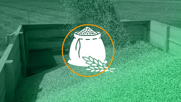 أكبر مستوردي الحبوب الروسية - سبوتنيك عربي