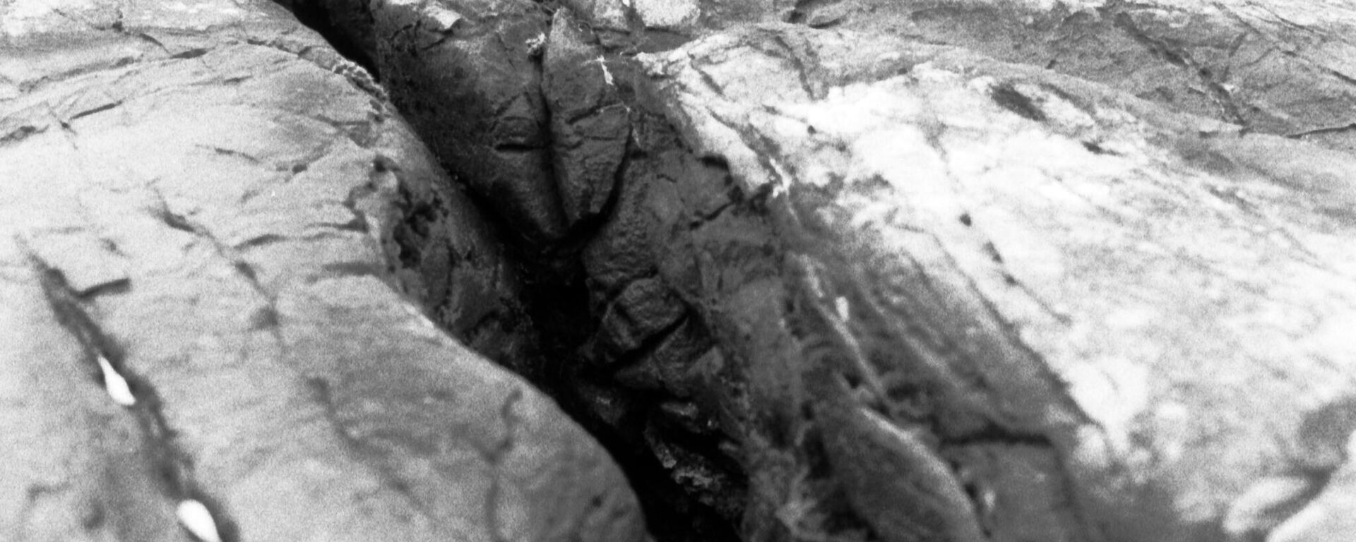 شقوق في التربة - سبوتنيك عربي, 1920, 12.09.2023