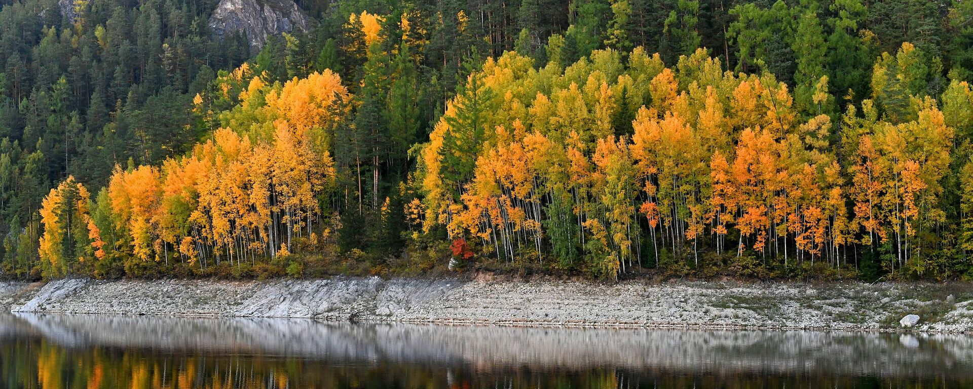 تنعكس أشجار التايغا  في مياه خليج كوزيريفسكي الواقع على نهر ينيسي، مع صخور الحجر الجيري بمحاذاة بيريوسينسكي الكارستية في التايغا الخريفية في إقليم كراسنويارسك الروسي. - سبوتنيك عربي, 1920, 27.10.2025