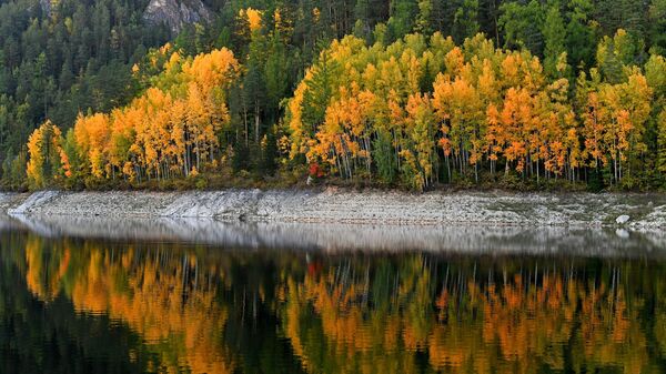 تنعكس أشجار التايغا  في مياه خليج كوزيريفسكي الواقع على نهر ينيسي، مع صخور الحجر الجيري بمحاذاة بيريوسينسكي الكارستية في التايغا الخريفية في إقليم كراسنويارسك الروسي. - سبوتنيك عربي