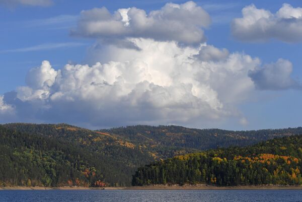 أشجار التايغا بألوان الخريف في منطقة خليج كوزيريفسكي الواقع على نهر ينيسي، في إقليم كراسنويارسك الروسي. - سبوتنيك عربي