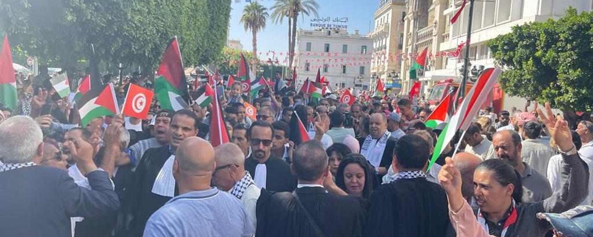 مسيرة في تونس دعما للشعب الفلسطيني، 12 أكتوبر/ تشرين الأول 2023 - سبوتنيك عربي, 1920, 31.12.2023