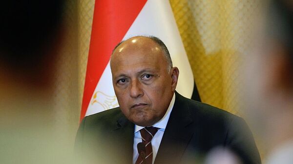وزير الخارجية المصري، سامح شكري - سبوتنيك عربي
