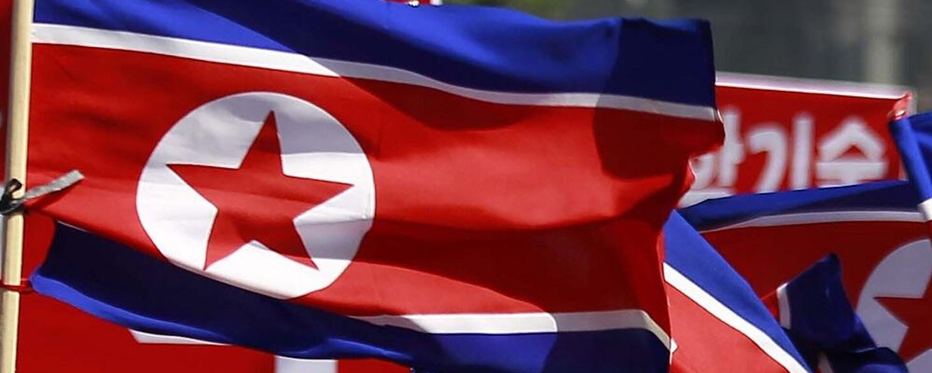 أعلام كوريا الشمالية - سبوتنيك عربي, 1920, 26.05.2024