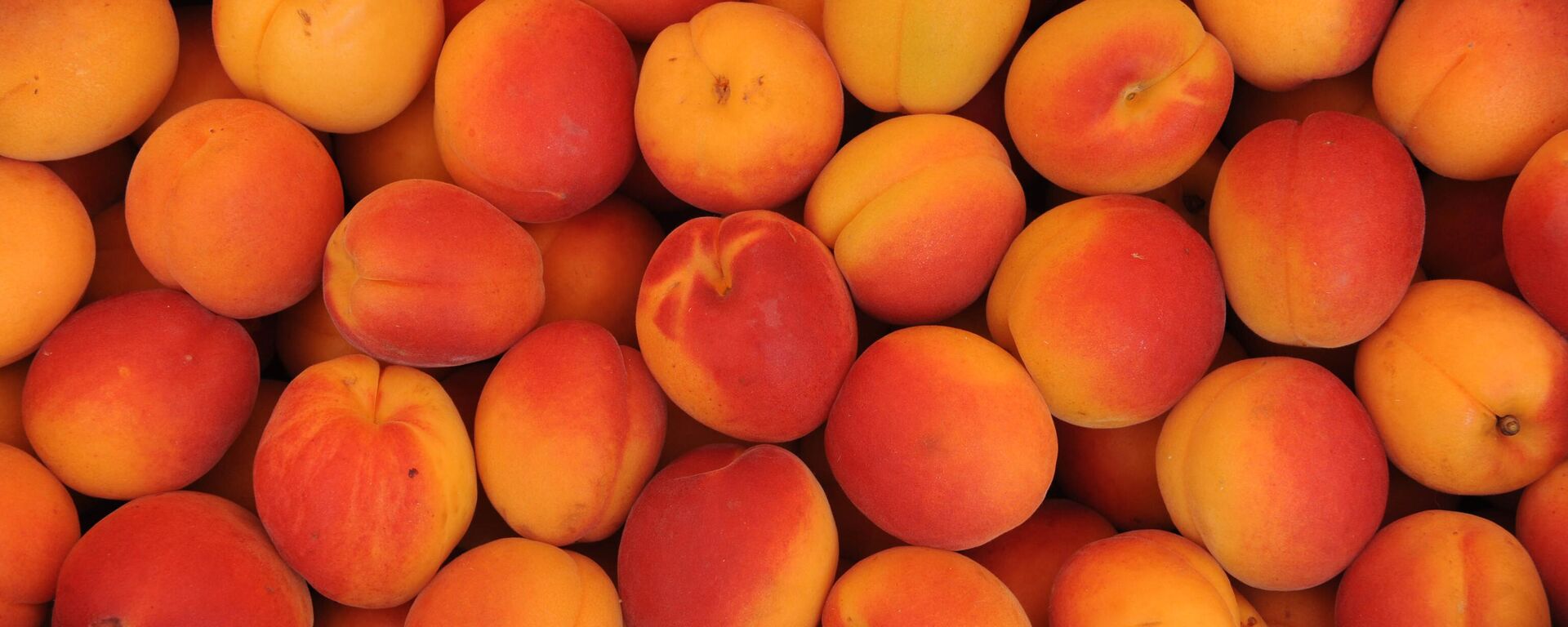 مشمش - سبوتنيك عربي, 1920, 23.10.2023