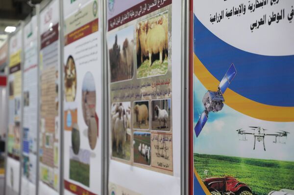 وزير الزراعة السوري لـسبوتنيك: تأمين احتياجات قطاعنا الزراعي من التقنيات الروسية
 - سبوتنيك عربي