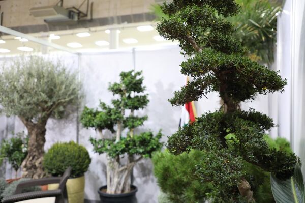 وزير الزراعة السوري لـسبوتنيك: تأمين احتياجات قطاعنا الزراعي من التقنيات الروسية
 - سبوتنيك عربي