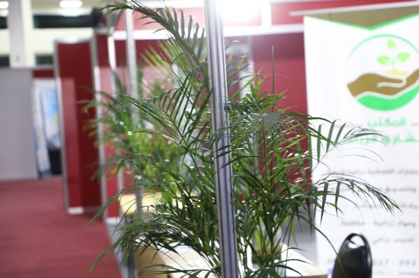 وزير الزراعة السوري لـسبوتنيك: تأمين احتياجات قطاعنا الزراعي من التقنيات الروسية
 - سبوتنيك عربي