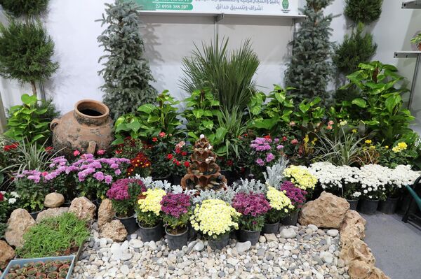 وزير الزراعة السوري لـسبوتنيك: تأمين احتياجات قطاعنا الزراعي من التقنيات الروسية
 - سبوتنيك عربي