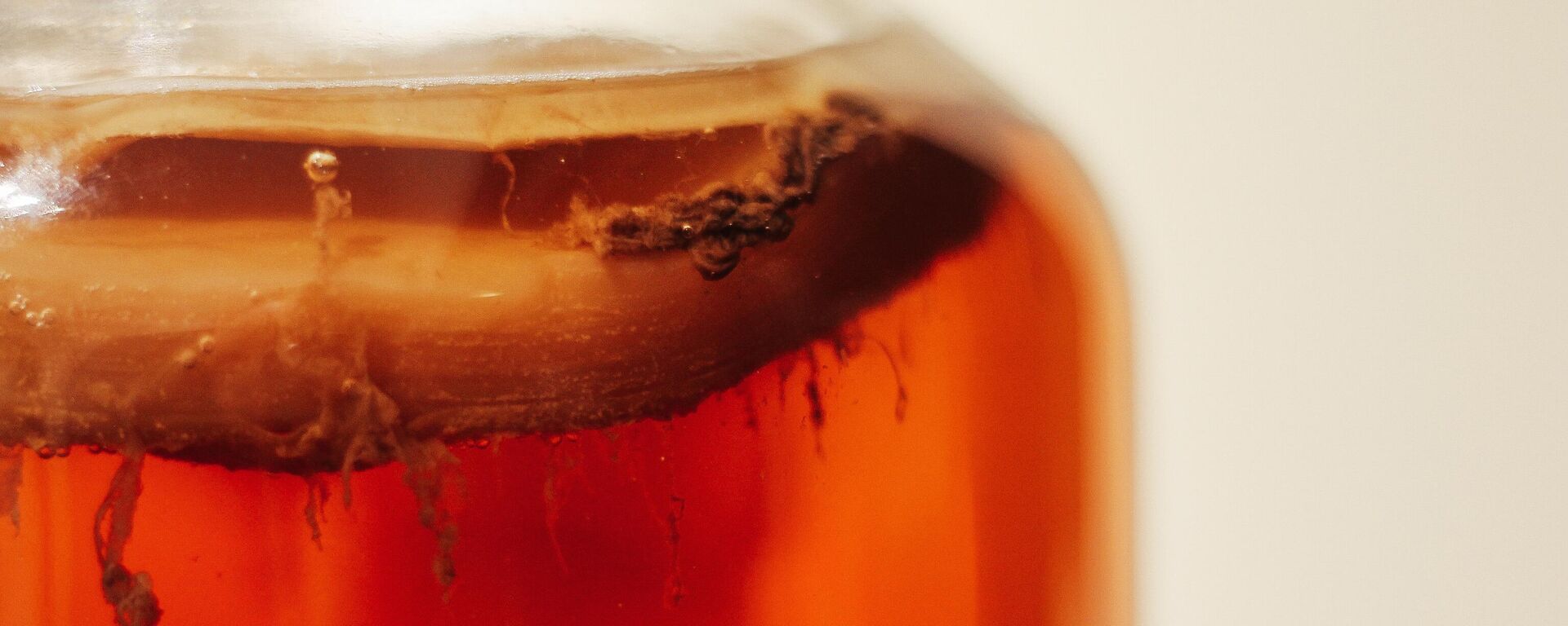 سلالة البروبيوتيك التي تعالج ضغط الدم  - سبوتنيك عربي, 1920, 27.10.2023