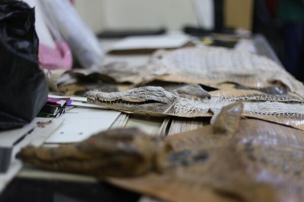 ورشة مجدي الأنصاري في حي البساتين، القاهرة‏، مصر - سبوتنيك عربي