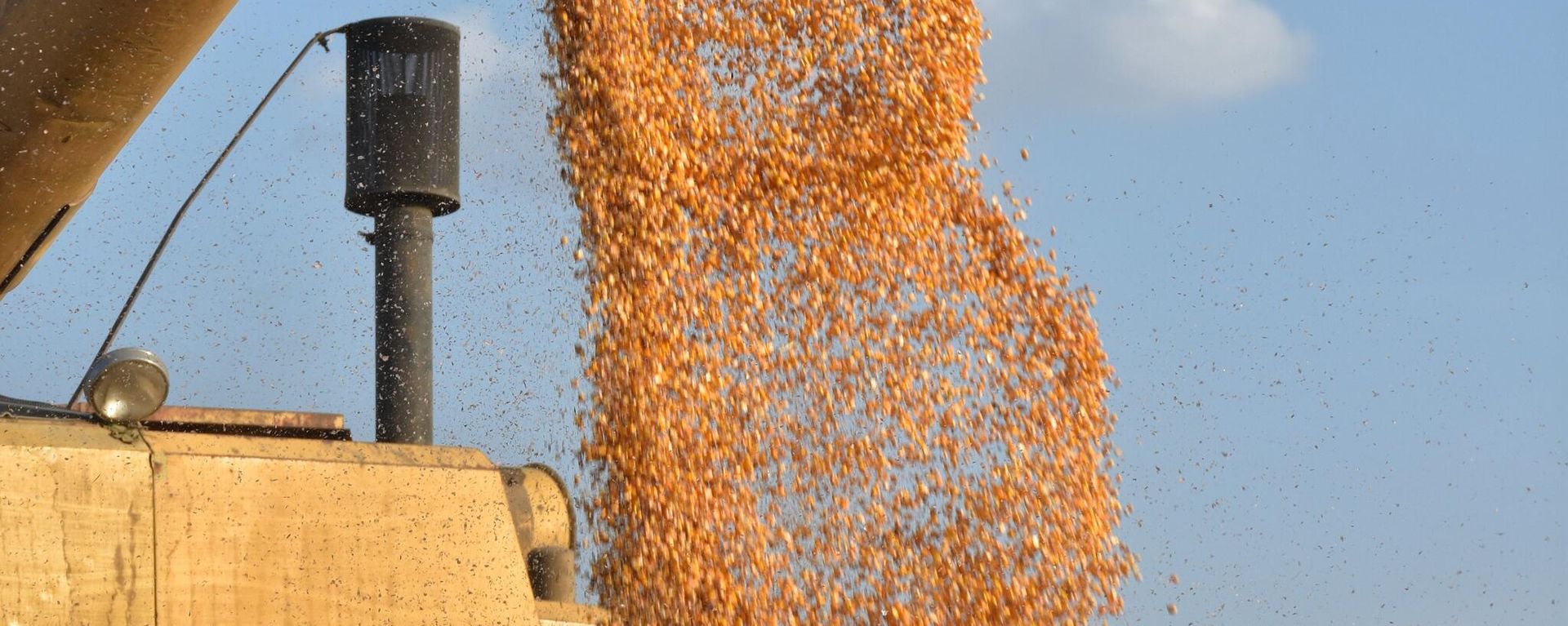 دمار المجففات يدفع مزارعي الذرة لنثر محاصيلهم على إسفلت أوتستراد (حلب- الرقة) - سبوتنيك عربي, 1920, 09.08.2026