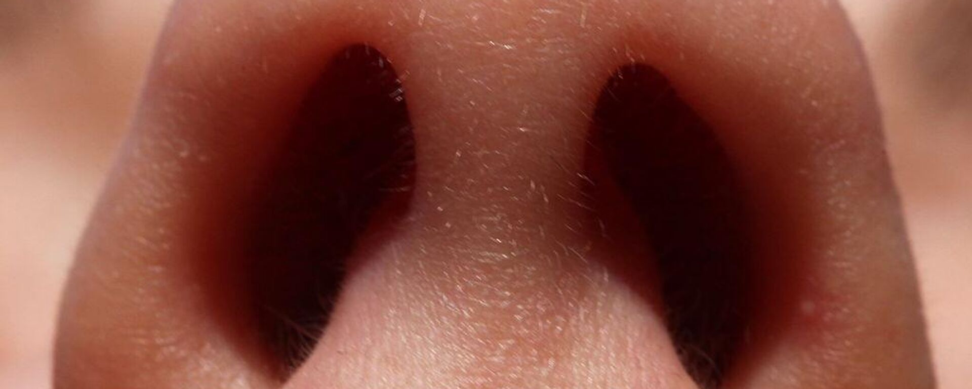 فتحات أنف الإنسان في صورة ملتقطة من الأسفل  - سبوتنيك عربي, 1920, 26.01.2025