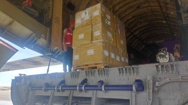 استقبال طائرة مساعدات إنسانية من روسيا في مطار العريش - سبوتنيك عربي