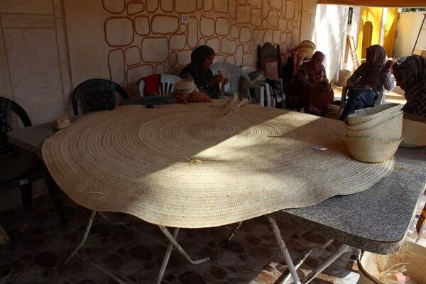 نساء تونس يحاربن تغير المناخ بمخلفات النخيل - سبوتنيك عربي