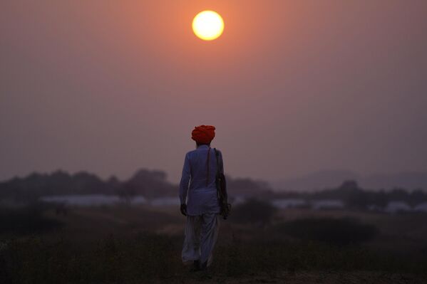 راعي جمل ينظر من حقل بينما تغرب الشمس خلال معرض الجمال السنوي في بوشكار بولاية راجستان الصحراوية في الهند، 15 نوفمبر 2023. - سبوتنيك عربي