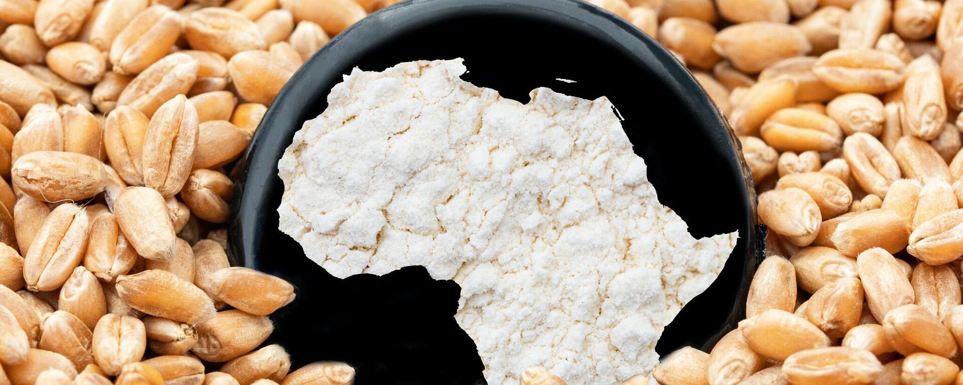 صورة للقارة الأفريقية ضمن حبات القمح (صورة أرشيفية) صورة للقارة الأفريقية ضمن حبات القمح (صورة أرشيفية) - سبوتنيك عربي, 1920, 22.11.2023