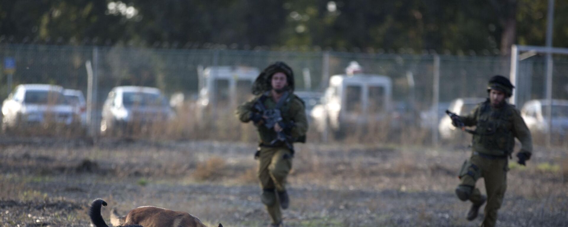 جنود إسرائيليون وكلابهم من وحدة الكلاب الخاصة خلال تدريب في قاعدة تل نوف العسكرية في وسط إسرائيل - سبوتنيك عربي, 1920, 26.11.2023